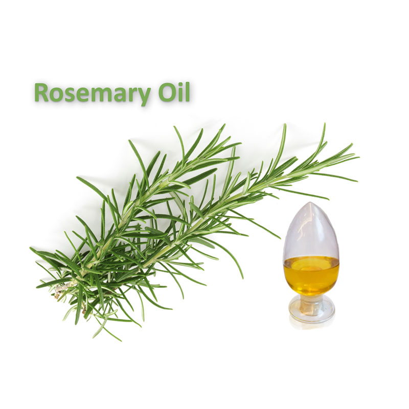 Minyak Rosemary (Daun Segar Cina) CAS 8000-25-7